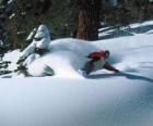 Сноубордист убыванию в свежем снегу